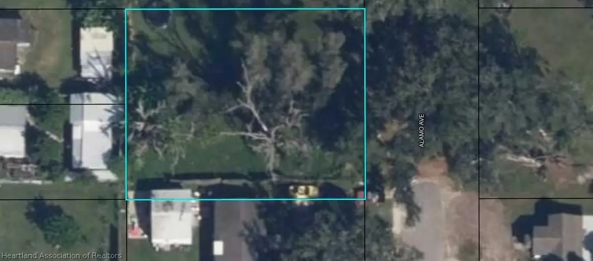 Alamo Avenue, Wauchula, FL 33873 - #1
