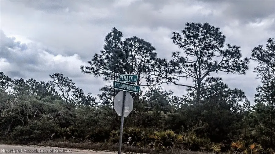 927 Hemack Street, Lake Placid, FL 33852 - #3