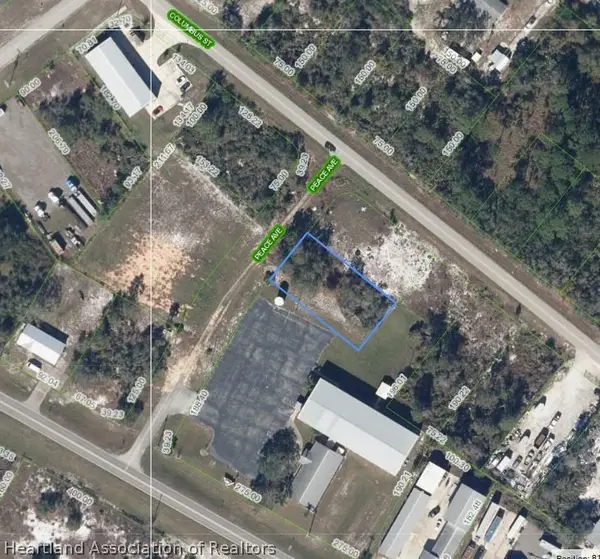 107 Peace Avenue, Lake Placid, FL 33852
