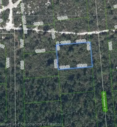 648 Buchanan Street, Lake Placid, FL 33852 - #1