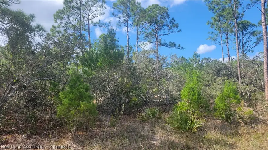 648 Buchanan Street, Lake Placid, FL 33852 - #2