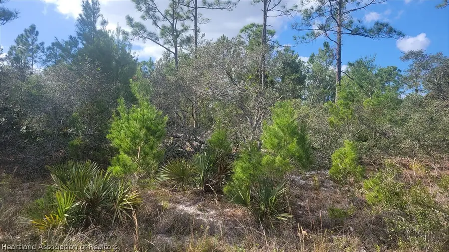 648 Buchanan Street, Lake Placid, FL 33852 - #3