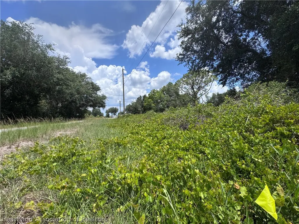 563 Farrell Drive Ne, Lake Placid, FL 33852 - #1