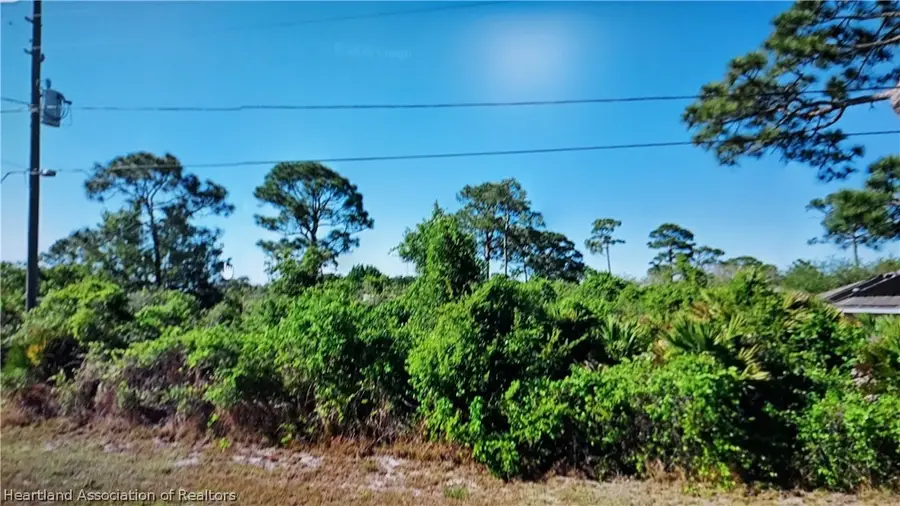 1537 Mulberry Avenue, Lake Placid, FL 33852 - #3
