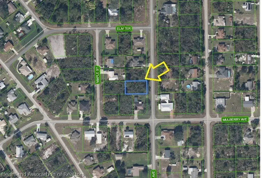 1536 Oak Avenue, Lake Placid, FL 33852 - #1