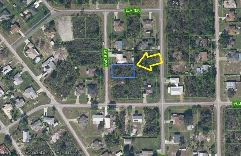 1537 Maple Street, Lake Placid, FL 33852 - #1