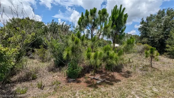 205 Liberty Drive Ne, Lake Placid, FL 33852
