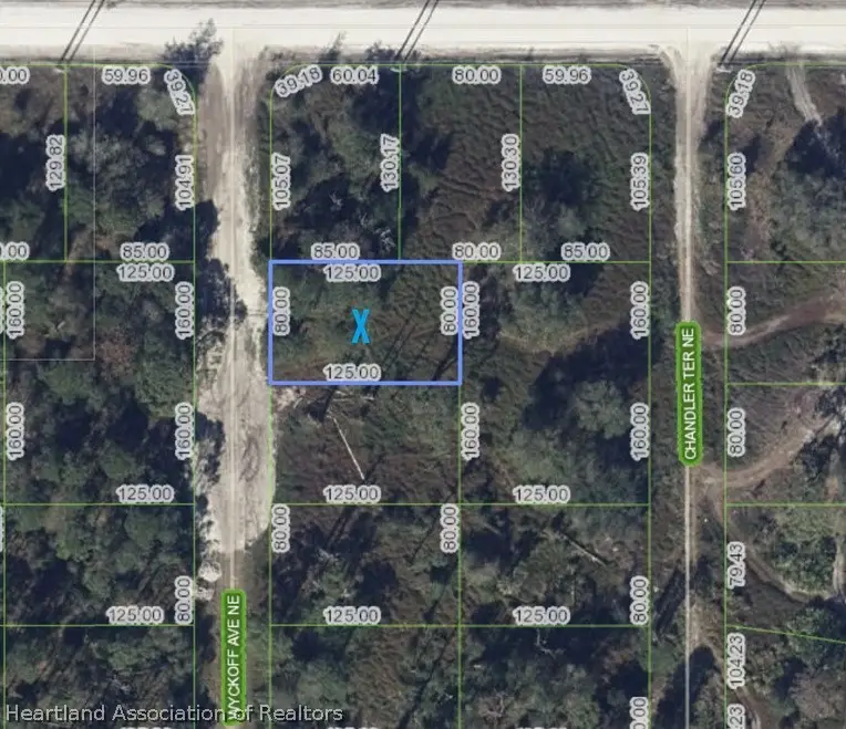 102 Wyckoff Avenue Ne, Lake Placid, FL 33852 - #2