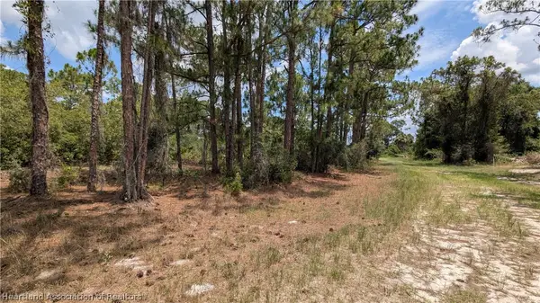 543 Branchwood Avenue, Lake Placid, FL 33852