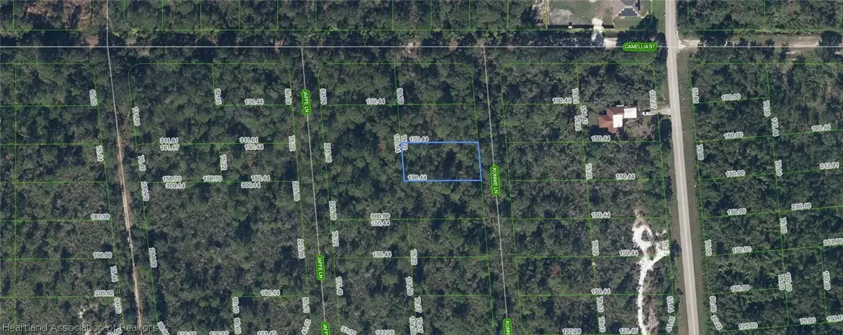 722 Ronnie Lane, Lake Placid, FL 33852 - #1