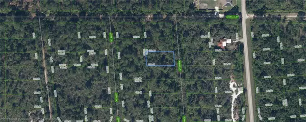 722 Ronnie Lane, Lake Placid, FL 33852