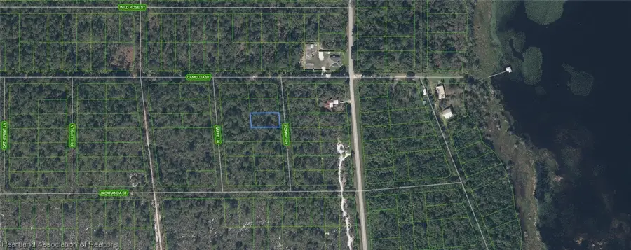 722 Ronnie Lane, Lake Placid, FL 33852 - #2