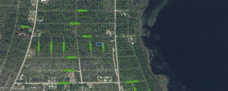 722 Ronnie Lane, Lake Placid, FL 33852 - #3