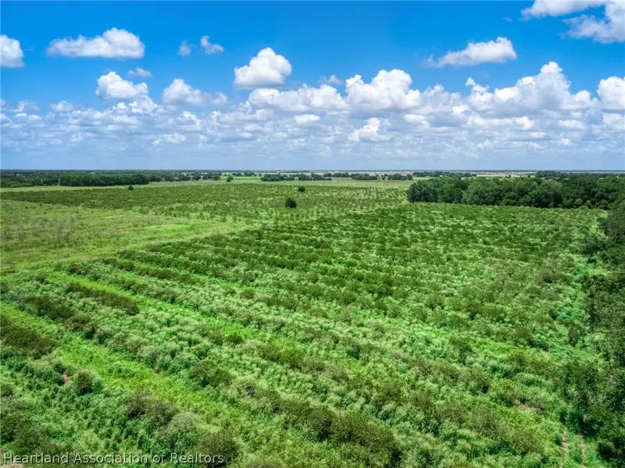 Stephens Road, Wauchula, FL 33873 - #2
