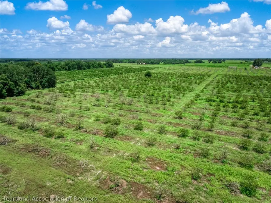 Stephens Road, Wauchula, FL 33873 - #3