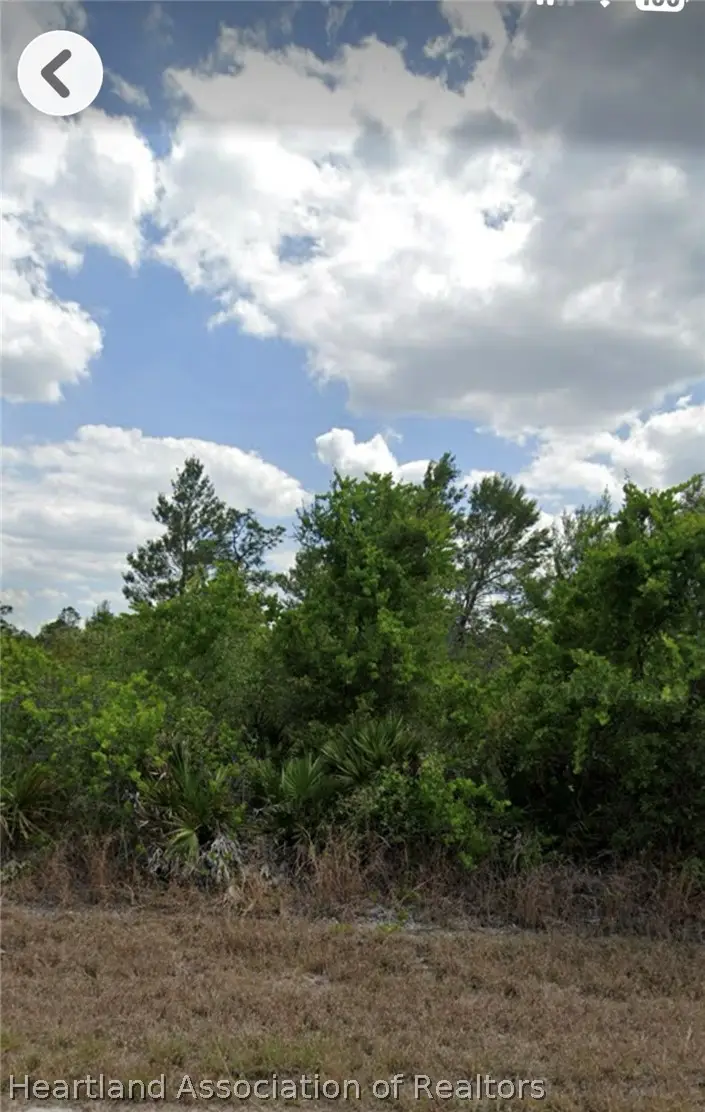 3122 Jerome Avenue, Lake Placid, FL 33852 - #2