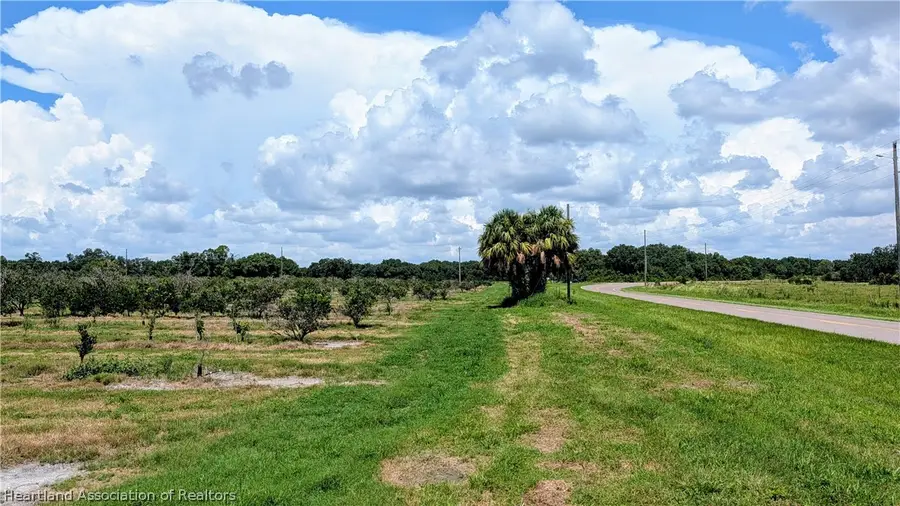 Cr 665 Road, Ona, FL 33865 - #3