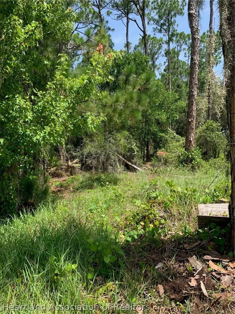1709 Stream Avenue, Sebring, FL 33875 - #2