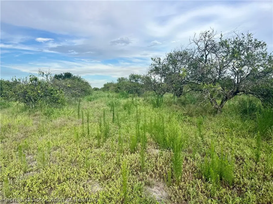 Hayman Road, Wauchula, FL 33873 - #2