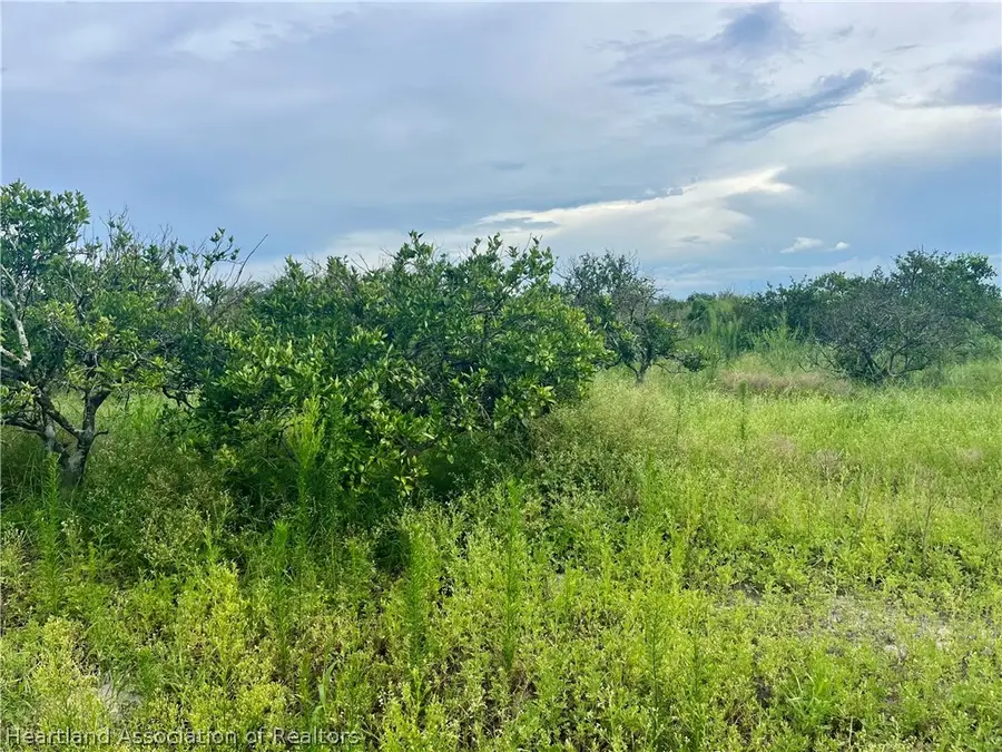 Hayman Road, Wauchula, FL 33873 - #3