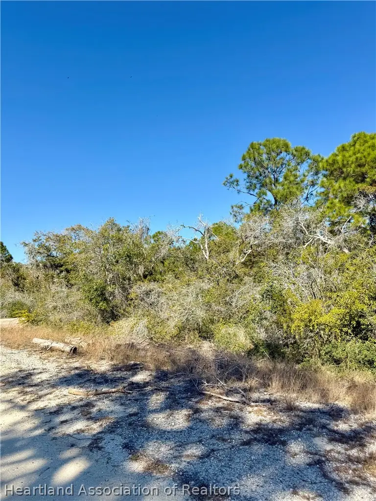 404 Sunshine Avenue, Lake Placid, FL 33852 - #2