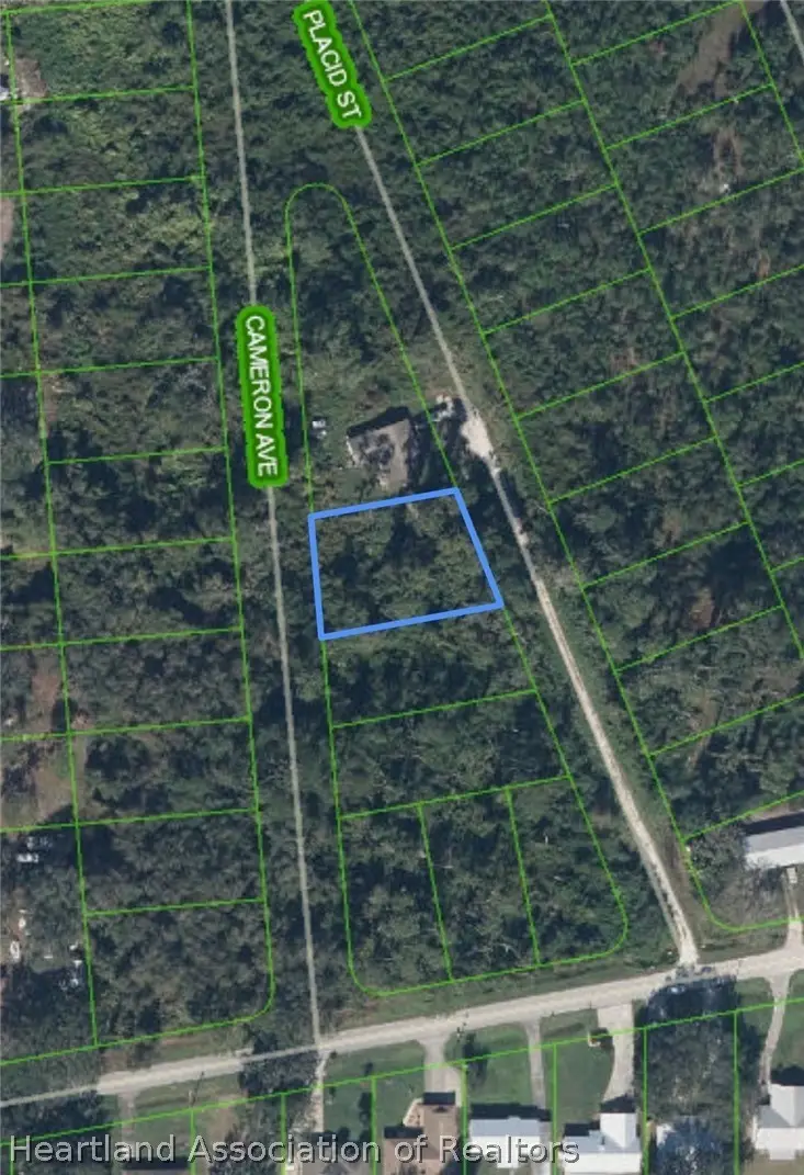 643 Cameron Avenue, Lake Placid, FL 33852 - #3