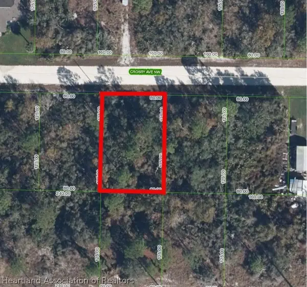 222 Crosby Avenue Nw, Lake Placid, FL 33852