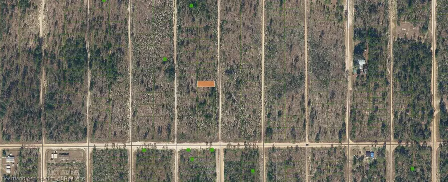 Dothan Street, Interlachen, FL 32148 - #2