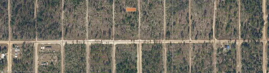 Dothan Street, Interlachen, FL 32148 - #2