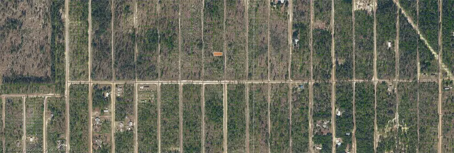 Dothan Street, Interlachen, FL 32148 - #3
