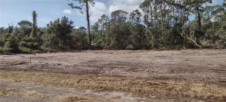 1038 Redbird Street, Lake Placid, FL 33852 - #2