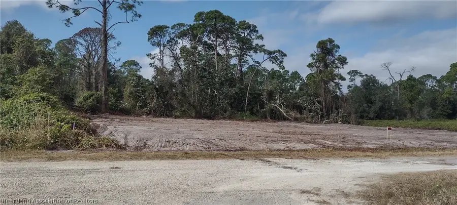 1038 Redbird Street, Lake Placid, FL 33852 - #3
