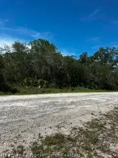 3041 Cacao Road, Lake Placid, FL 33852 - #3