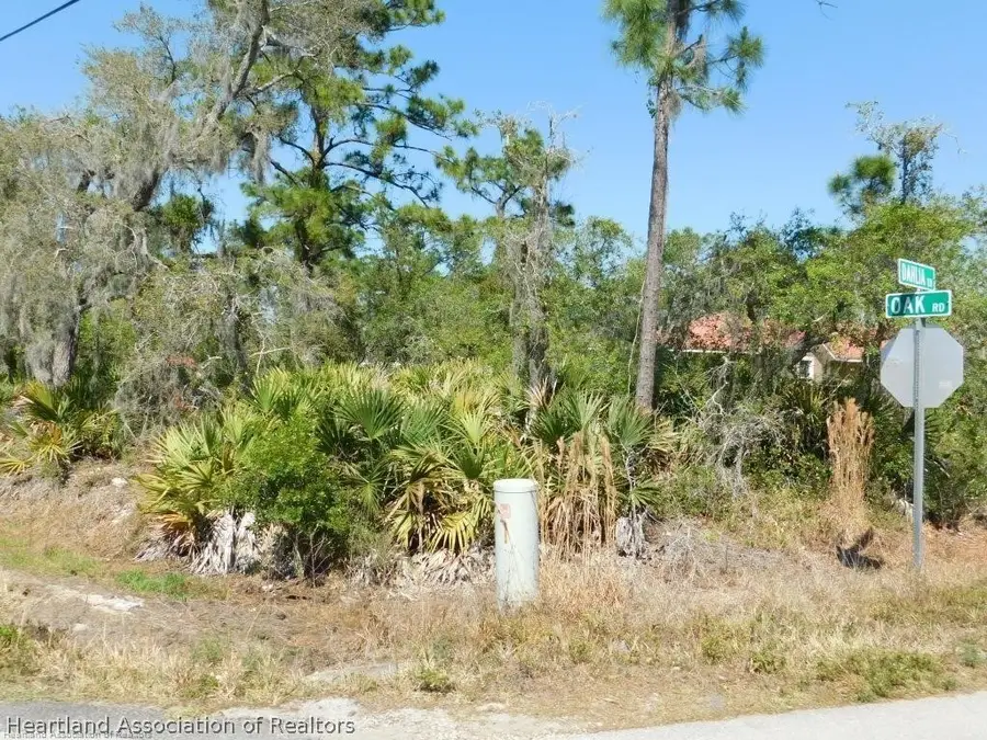 1832 Dahlia Terrace, Sebring, FL 33875 - #2