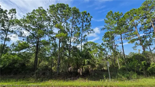333 Moon Glow Avenue, Lake Placid, FL 33852