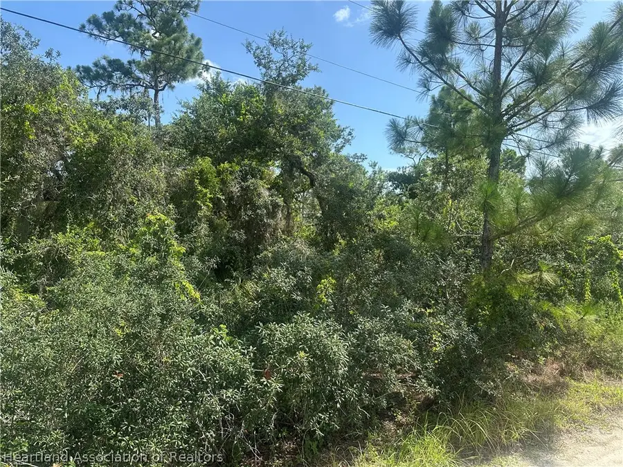 239 Raven Avenue, Sebring, FL 33870 - #2