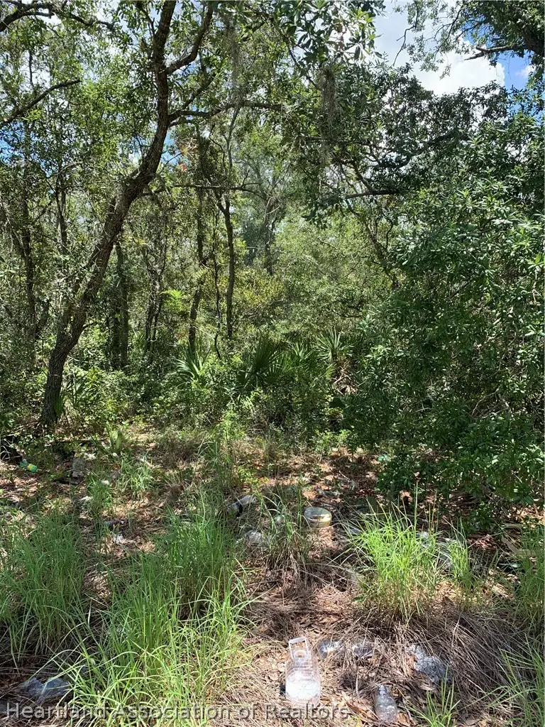 221 Gloaming Drive, Lake Placid, FL 33852 - #1