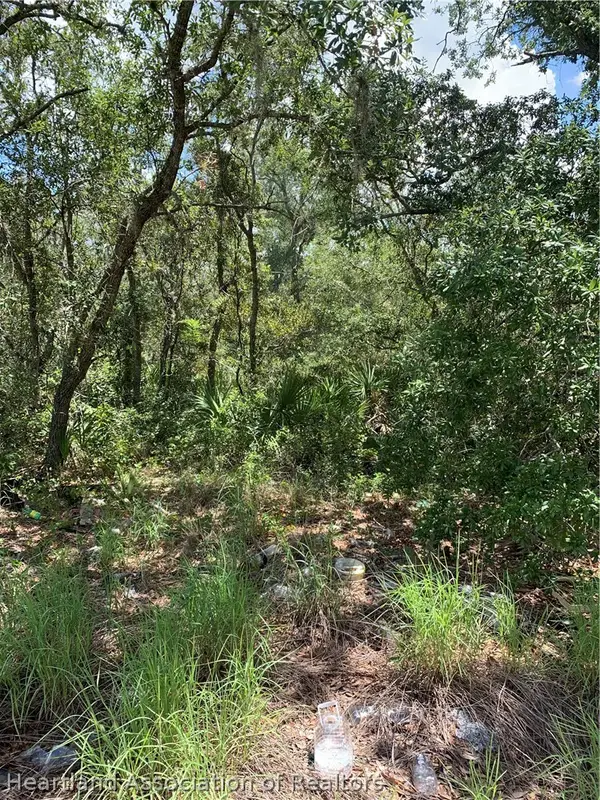 221 Gloaming Drive, Lake Placid, FL 33852