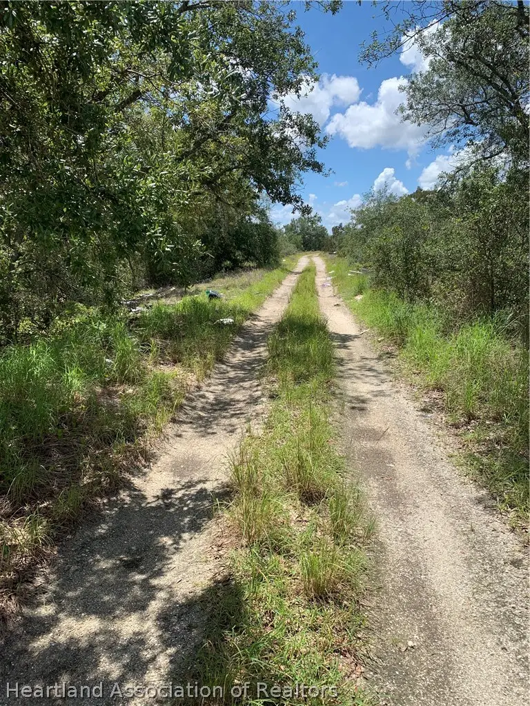 221 Gloaming Drive, Lake Placid, FL 33852 - #3