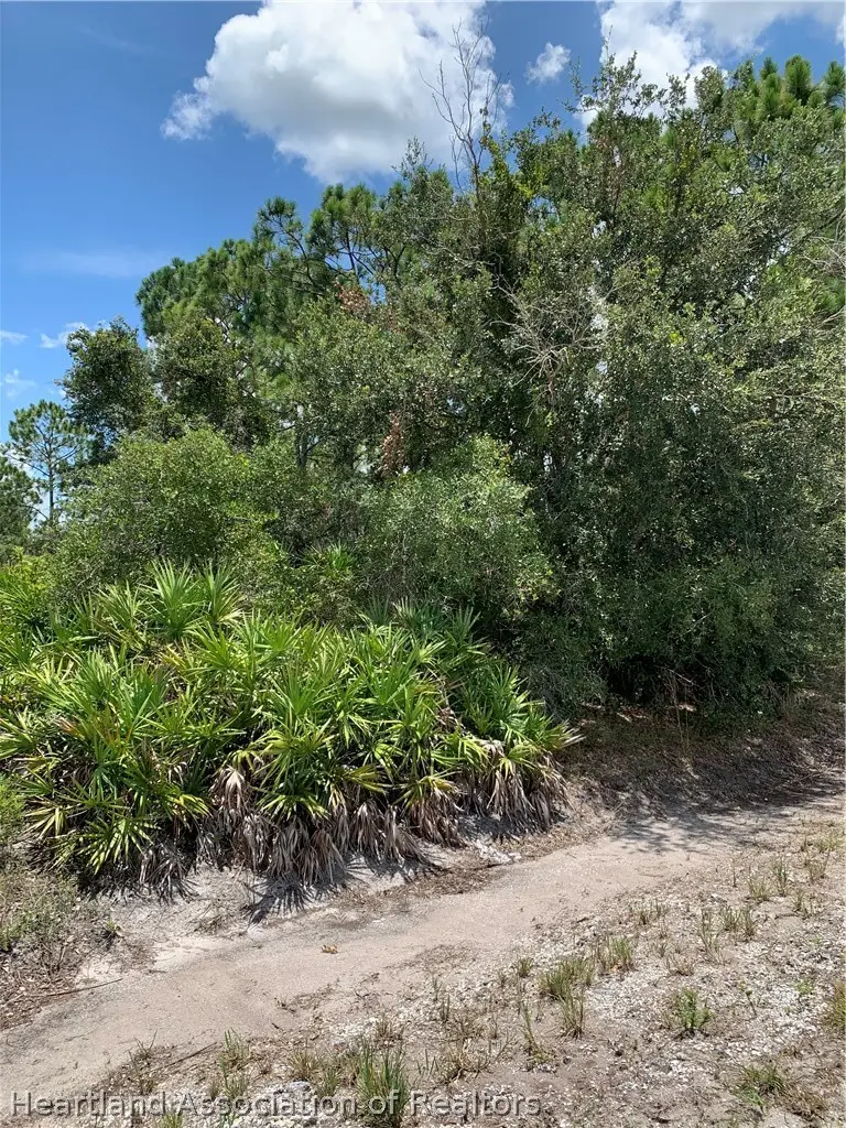 1228 Cowhouse Road, Lorida, FL 33857 - #2