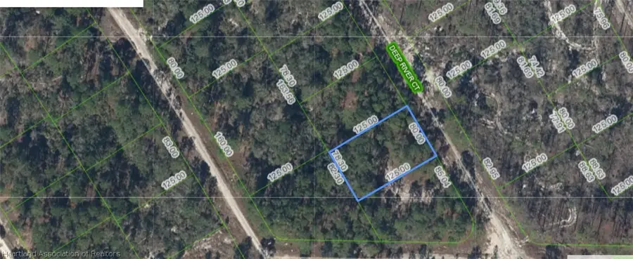 516 Deep River Court, Lake Placid, FL 33852 - #2