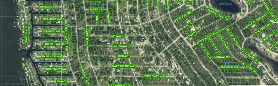 416 Amorous Avenue, Lake Placid, FL 33852 - #2