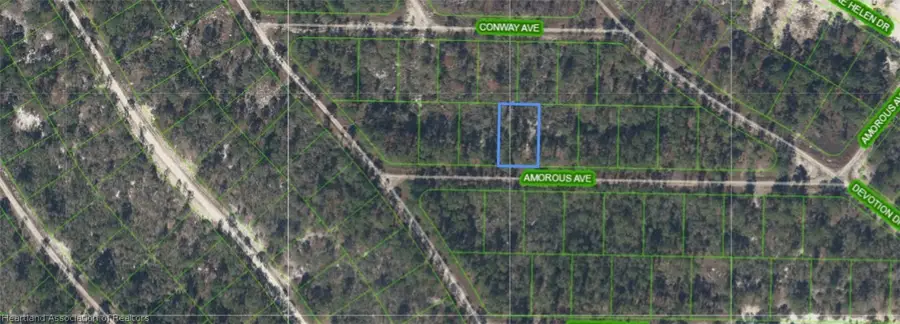 416 Amorous Avenue, Lake Placid, FL 33852 - #3