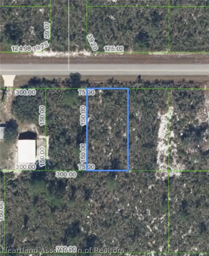 1419 Ivy Street, Lake Placid, FL 33852 - #1