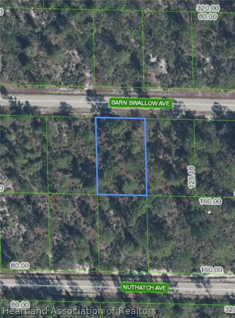 3342 Barn Swallow Avenue, Lake Placid, FL 33852 - #1
