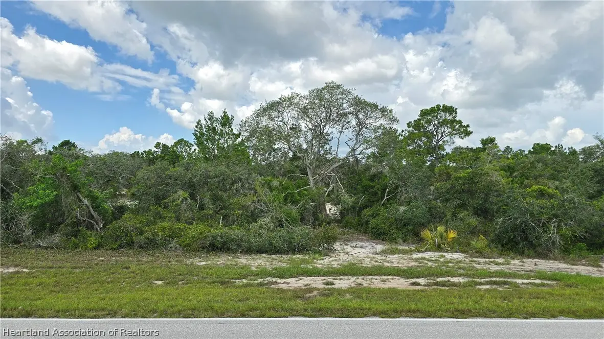 775 County Road 29 Highway, Lake Placid, FL 33852 - #1