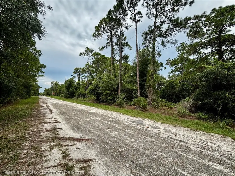 3231 Forrest View Avenue, Lake Placid, FL 33852 - #3