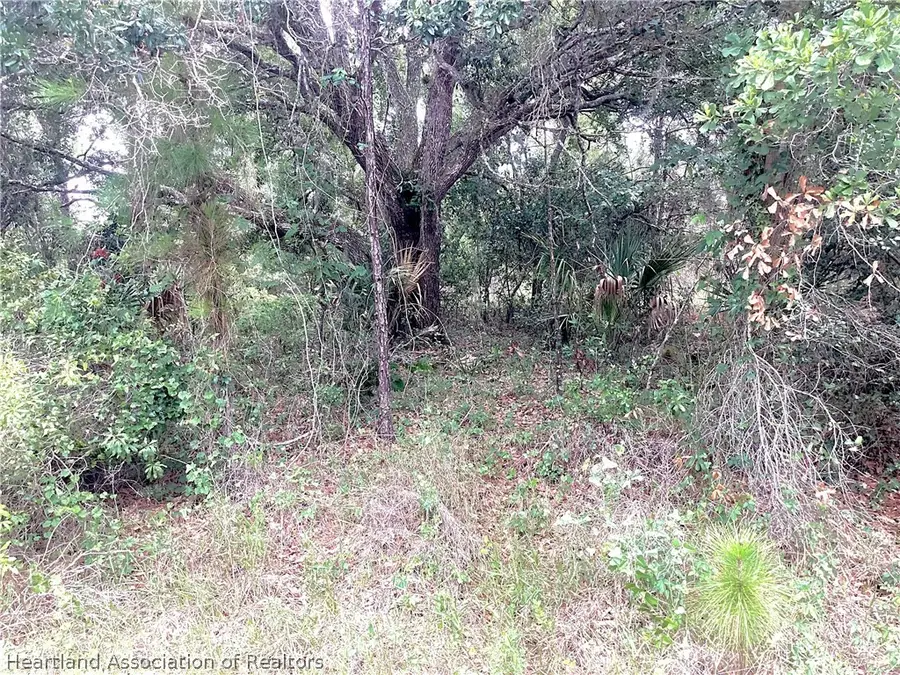 3444 Arbutus Road, Lake Placid, FL 33852 - #2