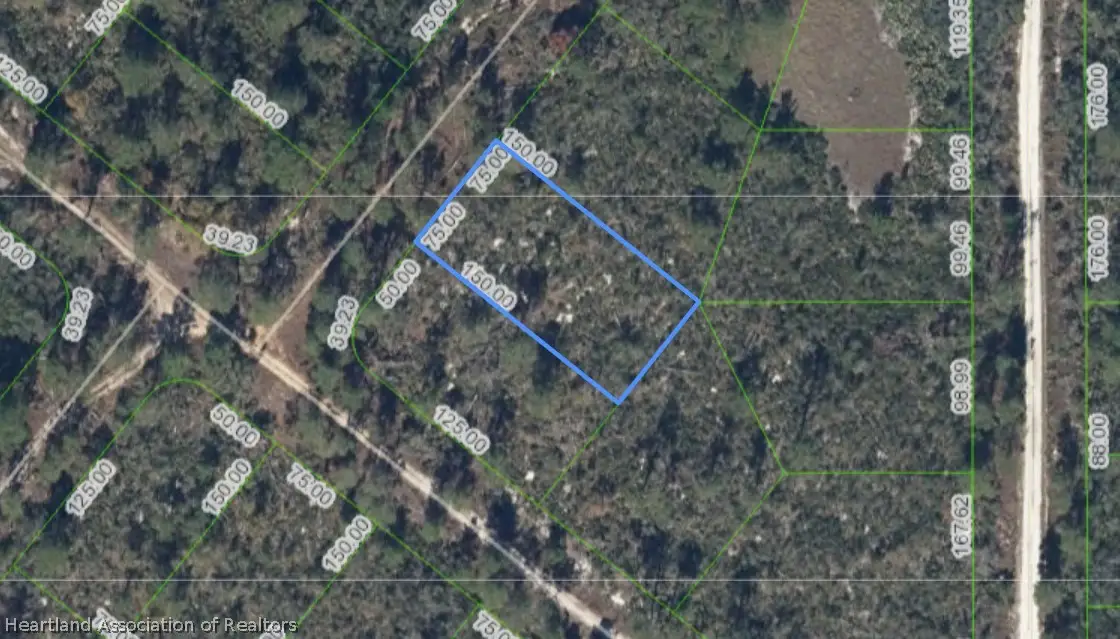203 Dewolf Avenue, Lake Placid, FL 33852 - #1