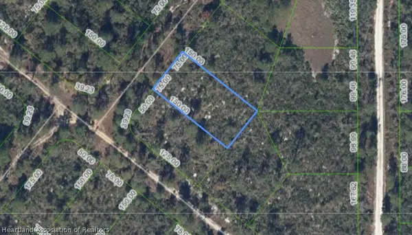 203 Dewolf Avenue, Lake Placid, FL 33852